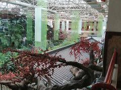 -新世纪绿洲(抚顺店)