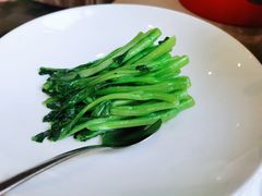 -食神鱼头佛跳墙(百子湾旗舰店)