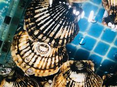 -连鹭海鲜·海肠捞饭·海胆饭(星海店)