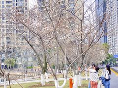 -西北湖绿化广场