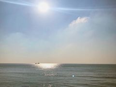 -上海棕榈滩海景酒店