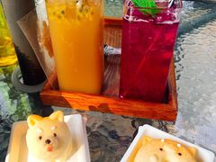 -柴犬高等学院·狗咖·柴犬售卖·宠物训练