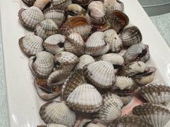 -华盛丰温州大排档(东三环南路店)