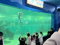 -苏州海洋馆