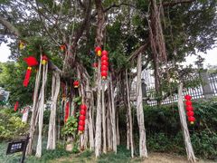 -船政文化景区-罗星塔公园