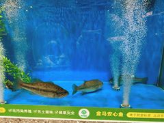 -盒马鲜生(莱蒙都会店)