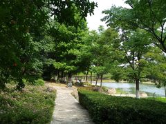 -白塘生态植物园