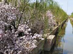 -元大都城垣遗址公园