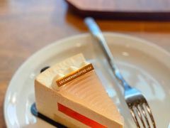 -DECAMERON十日谈(南头古城有熊店)