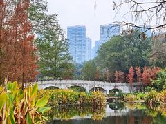 -重庆彩云湖湿地公园