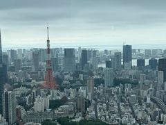 -六本木新城展望台(东京城市景观)