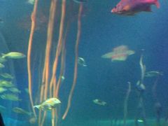 -沈阳海洋探索中心