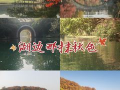 -西湖游船