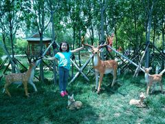 -武清南湖绿博园