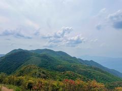 -大围山国家森林公园