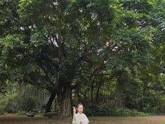 -开平碉楼文化旅游区马降龙景区
