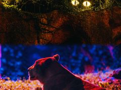 -杭州野生动物世界