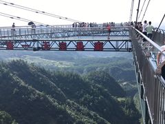 -梦幻奥陶纪景区