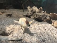 -昆明动物园
