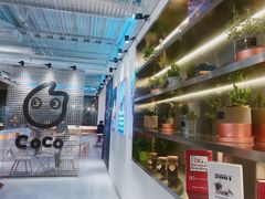 -CoCo都可(360丰产店)