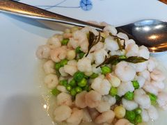 毛峰虾仁-同庆楼(大钟寺店)