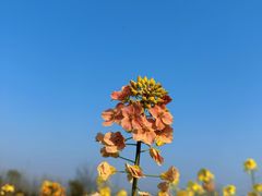 -崔岗艺术村