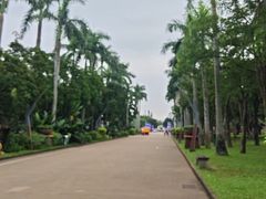 -万绿园