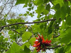 -白云山风景名胜区