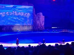 -华夏文旅海洋公园