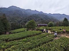 -姑婆山旅游区