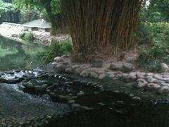 -成都市活水公园