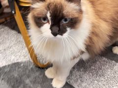 -seeu coffee(江滩店)