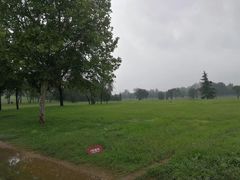 -汉长安城未央宫国家考古遗址公园