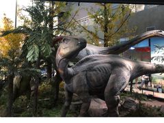 -湖南省地质博物馆