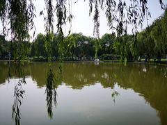 -泰丰公园