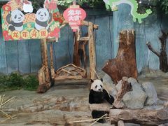 -海南热带野生动植物园