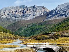 -稻城亚丁景区-冲古草甸