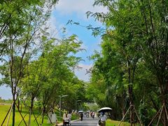 -观澜湖生态运动公社