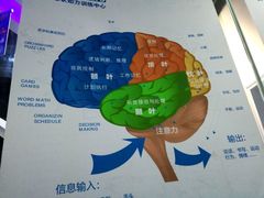 -博沃思·专注力·心理咨询·家庭教育(世豪中心)