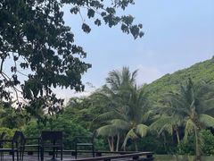 -三亚太阳湾柏悦酒店