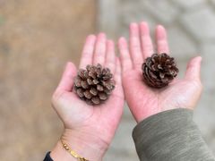 -金龙寺国家森林公园