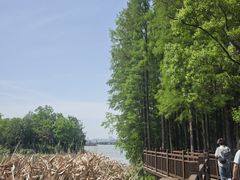 -东湖落雁景区