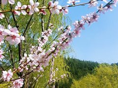 -仙居谷风景区