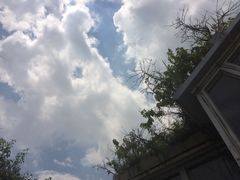 -花溪雨·森林餐厅(石基店)