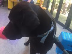 -严国平动物医院(德政总院)