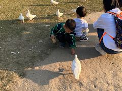 -南通洲际绿博园