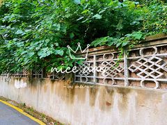 -菊花台公园
