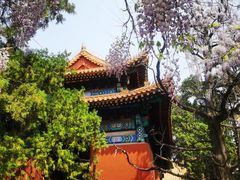 -北京国子监胡同