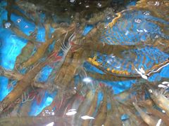 -港畔赶海蒸汽海鲜烧烤自助(仙螺岛店)