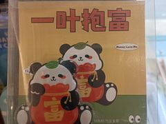 -轩客会(熊猫书店)